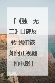 《独一无二》口碑反转 我们该如何正视翻拍电影