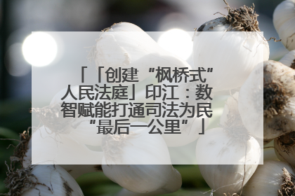 「创建“枫桥式”人民法庭」印江：数智赋能打通司法为民“最后一公里”