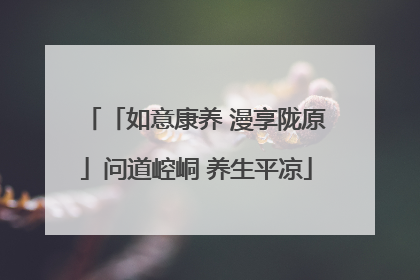 「如意康养 漫享陇原」问道崆峒 养生平凉