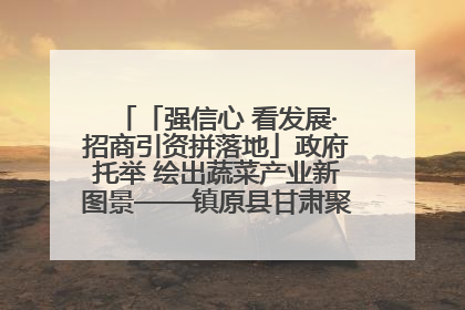 「强信心 看发展·招商引资拼落地」政府托举 绘出蔬菜产业新图景——镇原县甘肃聚广利现代设施蔬菜种植基地见闻