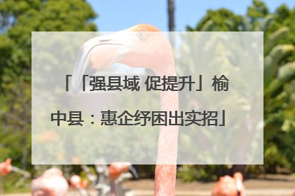 「强县域 促提升」榆中县：惠企纾困出实招
