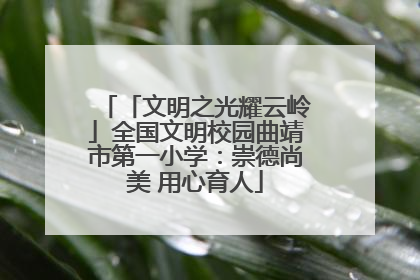 「文明之光耀云岭」全国文明校园曲靖市第一小学：崇德尚美 用心育人