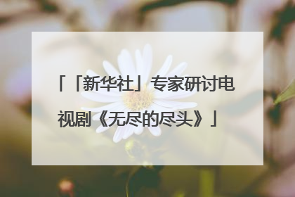 「新华社」专家研讨电视剧《无尽的尽头》