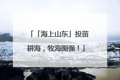 「海上山东」投苗耕海，牧海图强！