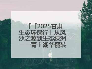 「2025甘肃生态环保行」从风沙之源到生态绿洲——青土湖华丽转身书写生态新篇