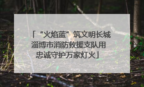 “火焰蓝”筑文明长城 淄博市消防救援支队用忠诚守护万家灯火