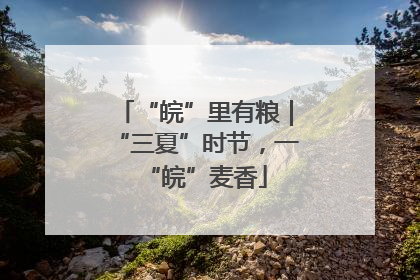 “皖”里有粮｜“三夏”时节，一“皖”麦香