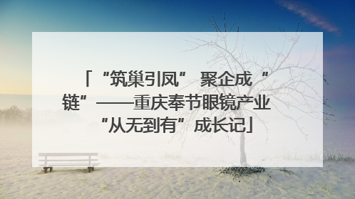 “筑巢引凤” 聚企成“链”——重庆奉节眼镜产业“从无到有”成长记