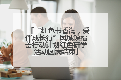 “红色书香润，爱伴成长行”凤城镇福蕾行动计划红色研学活动圆满结束