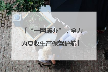 “一网通办”，全力为夏收生产保驾护航