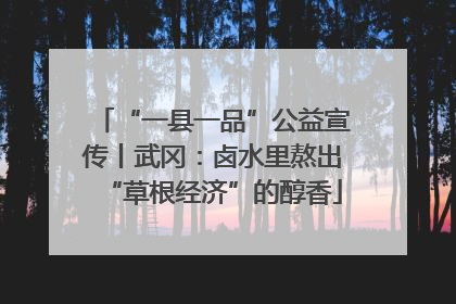 “一县一品”公益宣传丨武冈：卤水里熬出“草根经济”的醇香