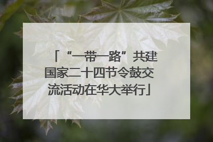 “一带一路”共建国家二十四节令鼓交流活动在华大举行