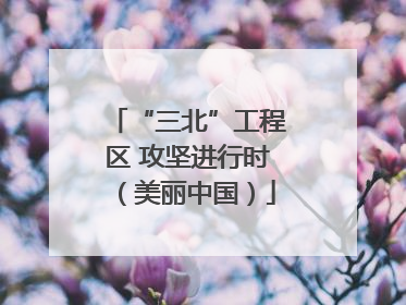 “三北”工程区 攻坚进行时（美丽中国）