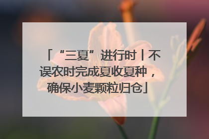 “三夏”进行时丨不误农时完成夏收夏种，确保小麦颗粒归仓