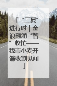 “三夏”进行时｜金浪翻涌“智”收忙——我市小麦开镰收割见闻