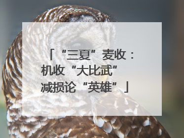 “三夏”麦收：机收“大比武” 减损论“英雄”