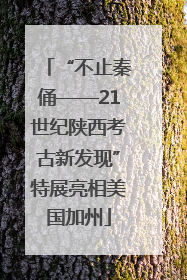 “不止秦俑——21世纪陕西考古新发现”特展亮相美国加州