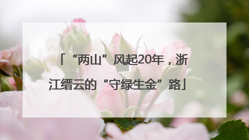 “两山”风起20年，浙江缙云的“守绿生金”路