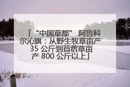 “中国草都” 阿鲁科尔沁旗：从野生牧草亩产 35 公斤到苜蓿草亩产 800 公斤以上