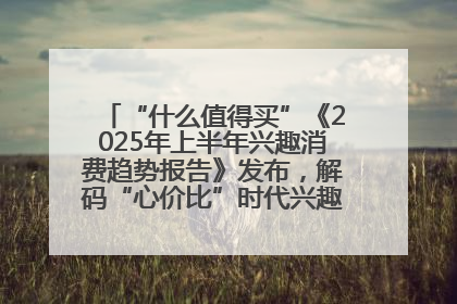 “什么值得买”《2025年上半年兴趣消费趋势报告》发布，解码“心价比”时代兴趣消费新范式