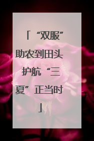 “双服”助农到田头 护航“三夏”正当时