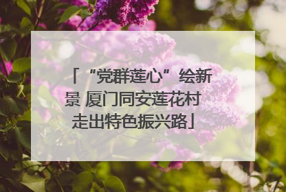 “党群莲心”绘新景 厦门同安莲花村走出特色振兴路