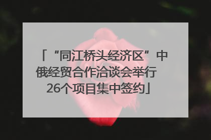 “同江桥头经济区”中俄经贸合作洽谈会举行 26个项目集中签约