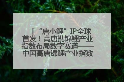 “唐小鲤”IP全球首发！高唐携锦鲤产业指数布局数字赛道——中国高唐锦鲤产业指数暨“唐小鲤”IP全球首发仪式在杭州举行