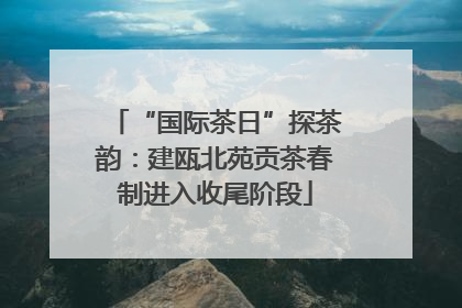 “国际茶日”探茶韵：建瓯北苑贡茶春制进入收尾阶段