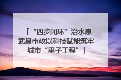 “四步闭环”治水患 武昌市政以科技赋能筑牢城市“里子工程”