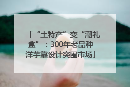 “土特产”变“潮礼盒”：300年老品种洋芋靠设计突围市场