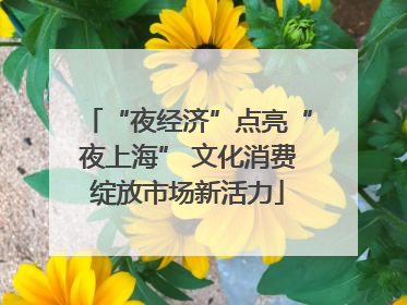 “夜经济”点亮“夜上海” 文化消费绽放市场新活力