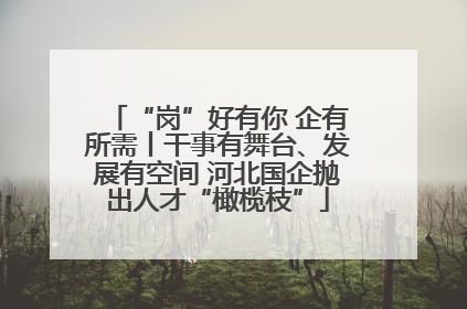 “岗”好有你 企有所需丨干事有舞台、发展有空间 河北国企抛出人才“橄榄枝”