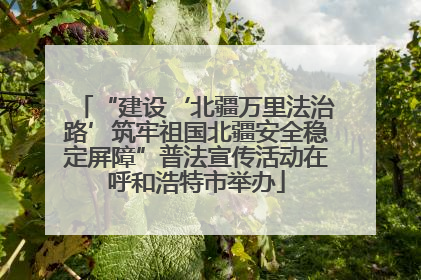 “建设‘北疆万里法治路’筑牢祖国北疆安全稳定屏障”普法宣传活动在呼和浩特市举办