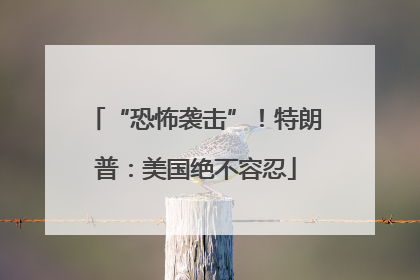 “恐怖袭击”！特朗普：美国绝不容忍