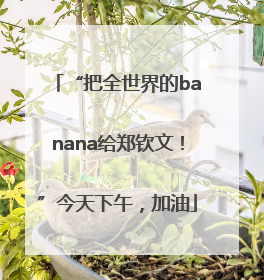 “把全世界的banana给郑钦文！”今天下午，加油