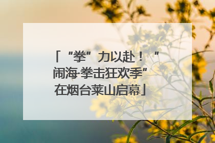 “拳”力以赴！“闹海·拳击狂欢季”在烟台莱山启幕