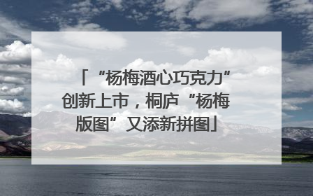 “杨梅酒心巧克力”创新上市，桐庐“杨梅版图”又添新拼图
