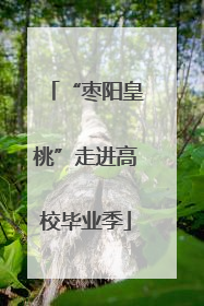 “枣阳皇桃”走进高校毕业季