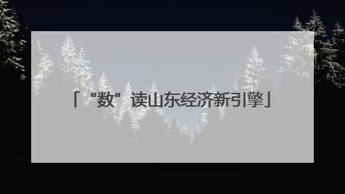 “数”读山东经济新引擎