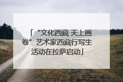 “文化西藏 天上画卷”艺术家西藏行写生活动在拉萨启动
