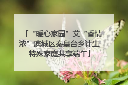 “暖心家园”艾“香情浓”滨城区秦皇台乡计生特殊家庭共享端午