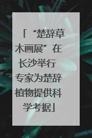 “楚辞草木画展”在长沙举行 专家为楚辞植物提供科学考据