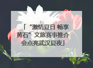 “激情夏日 畅享黄石”文旅赛事推介会点亮武汉夏夜