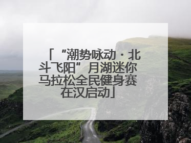 “潮势咏动・北斗飞阳”月湖迷你马拉松全民健身赛在汉启动