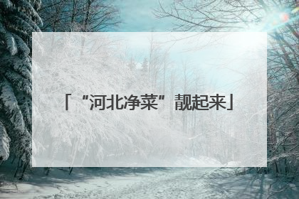 “河北净菜”靓起来