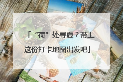 “荷”处寻夏？带上这份打卡地图出发吧