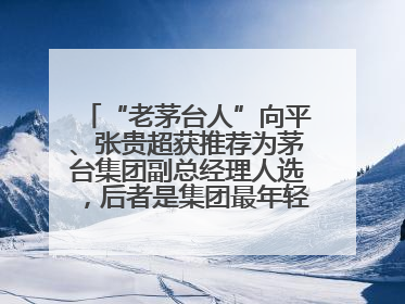 “老茅台人”向平、张贵超获推荐为茅台集团副总经理人选，后者是集团最年轻党委委员