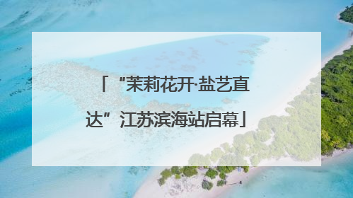 “茉莉花开·盐艺直达”江苏滨海站启幕