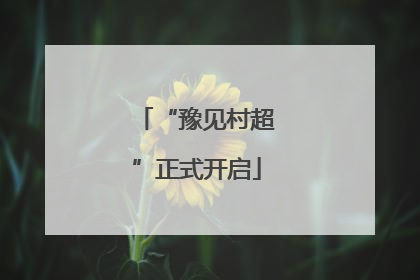 “豫见村超”正式开启